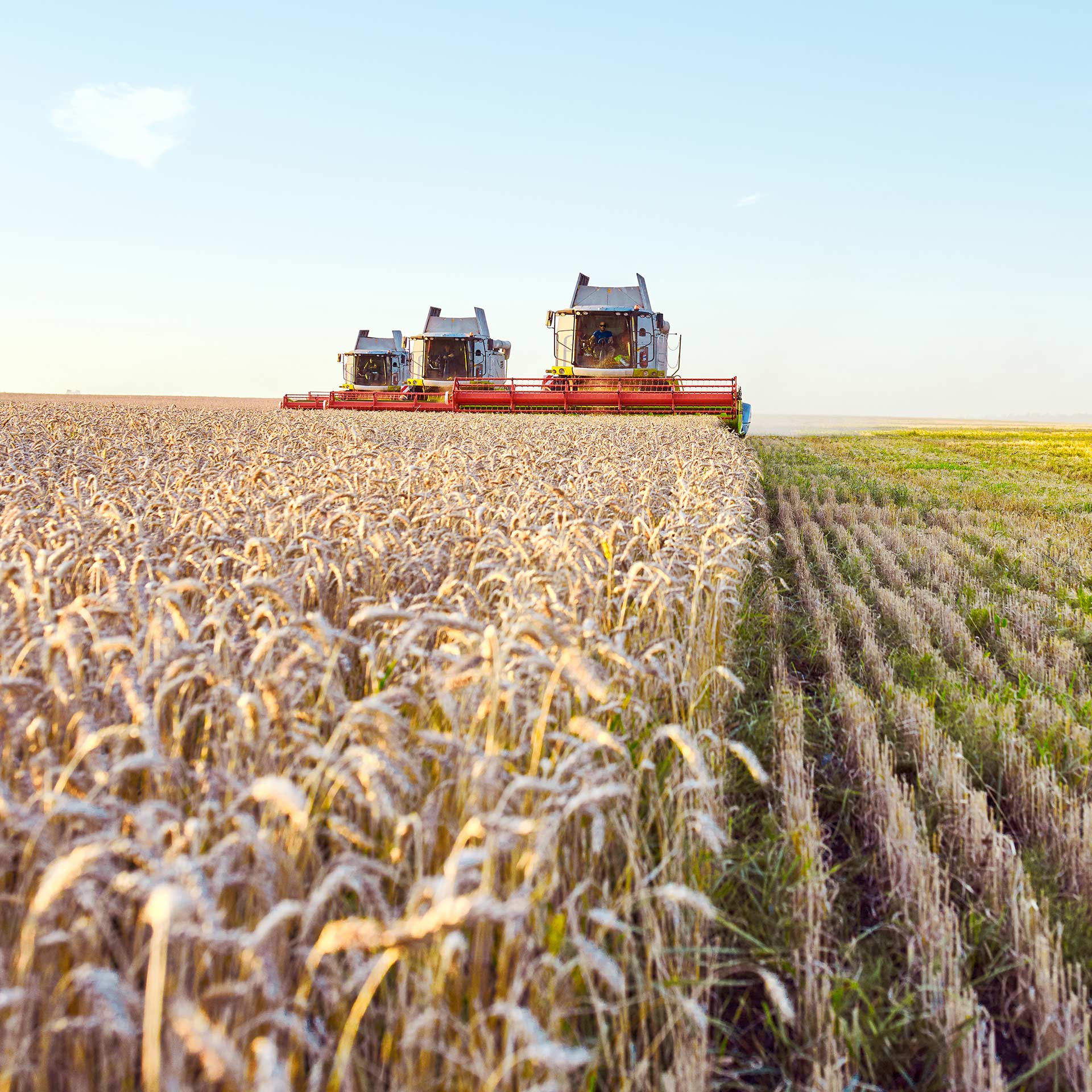 International Trade Compliance